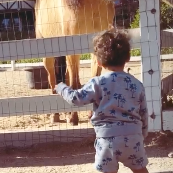 Isaiah, le fils de M. Pokora et Christina Milian, fait la connaissance d'un poney. Le 16 avril 2021.