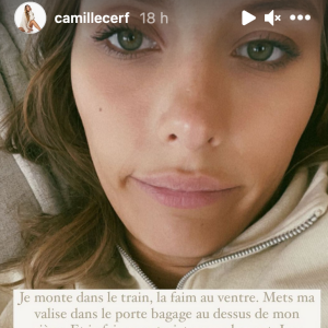 Camille Cerf raconte sa grosse mésaventure dans le train - Instagram