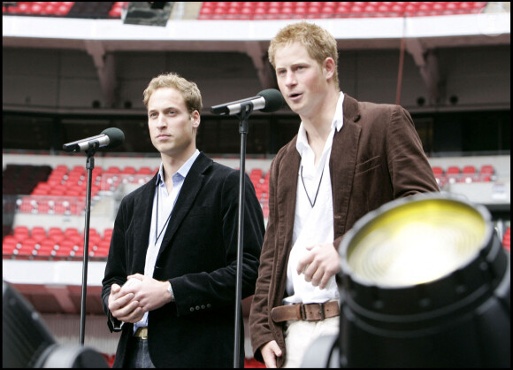 Le prince Harry et le prince William lors du concert célébrant les 46 ans de Diana à Londres, au stade de Wembley, en 2007.