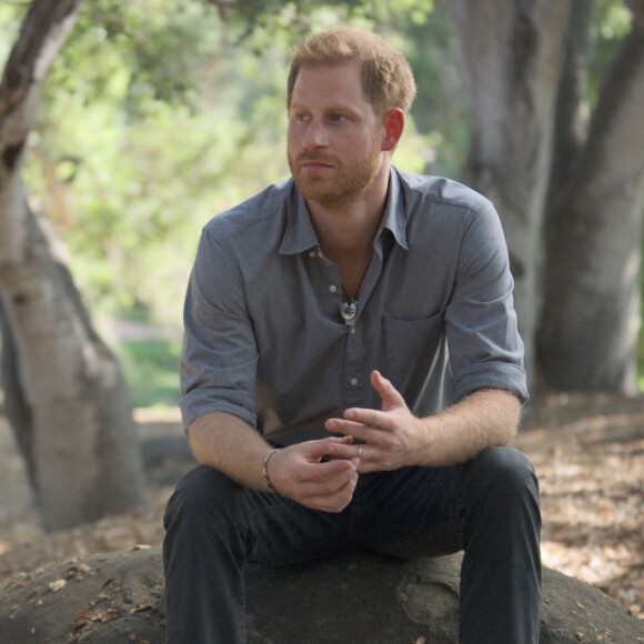 Extrait de la série documentaire du Prince Harry et Oprah Winfrey "The Me You Can't See". Portant sur la santé mentale, ce programme a été dévoilé le 21 mai 2021 sur Apple tv.