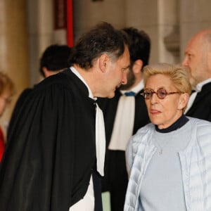 L'avocat Pierre-Olivier Sur - Isabelle Balkany est arrivée en retard au tribunal de Paris car elle rendait visite à son mari à la prison le 4 février 2020. © Christophe Clovis / Bestimage