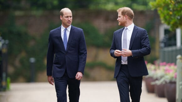 Prince Harry et William en froid durant l'inauguration de la statue de leur mère ?