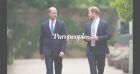 Prince Harry et William en froid durant l'inauguration de la statue de leur mère ?
