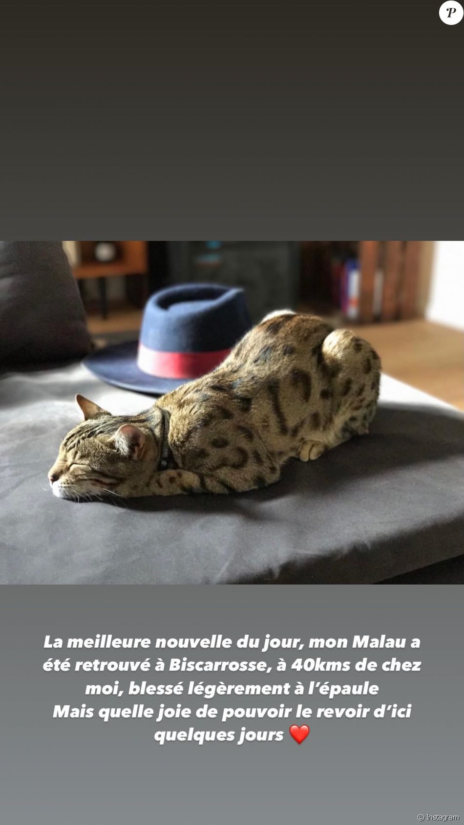 La story partagée par Laure Manaudou le jeudi 8 juillet ...