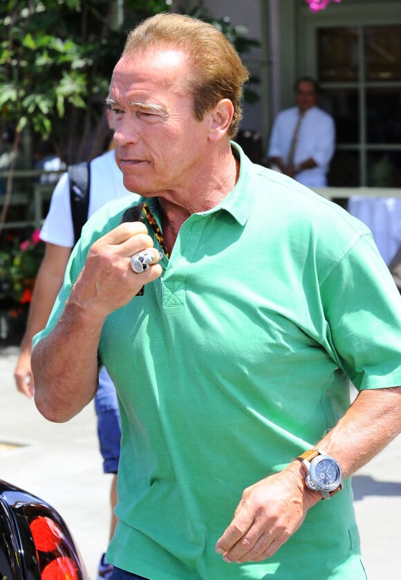 Arnold Schwarzenegger a brunché avec ses enfants Christina, Katherine et Christopher pour la fête des pères à Brentwood, le 15 juin 2014.