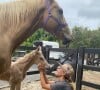 Elsa Pataky voue une passion pour les chevaux.