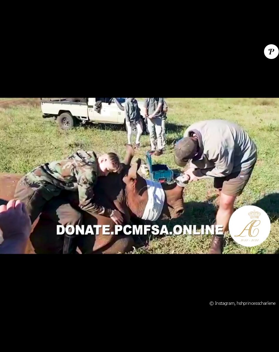 La princesse Charlene de Monaco en mission en Afrique du Sud, son pays d'origine, sur Instagram. Juillet 2021