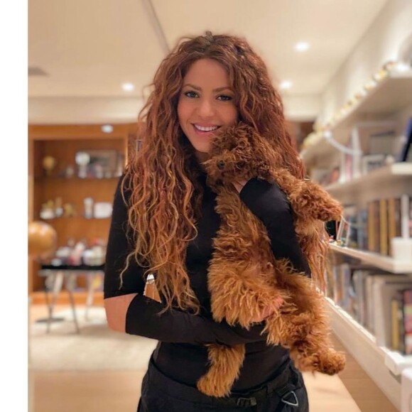 Shakira et son chien Teddy. Instagram. Le 4 octobre 2021.
