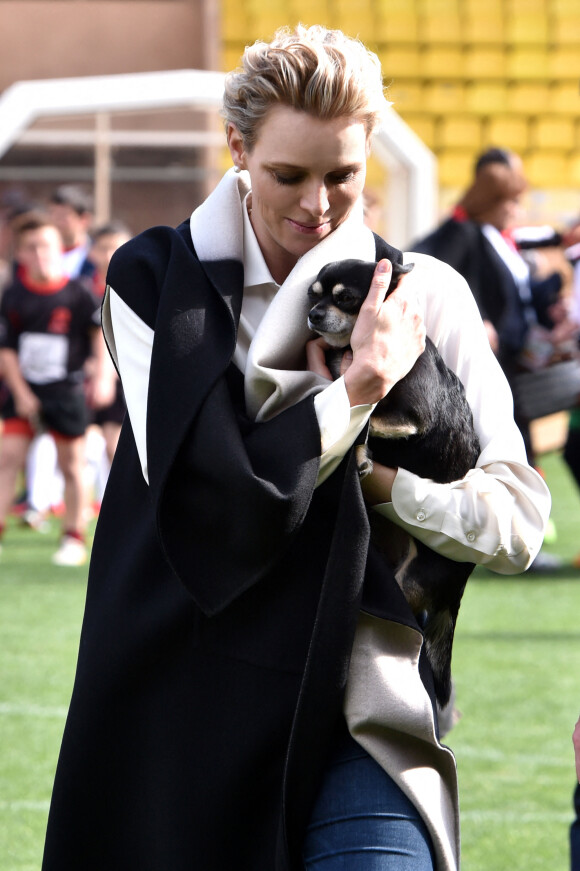 La Princesse Charlène de Monaco porte son chien "Monté" (comme Monte-Carlo) - En collaboration avec la Fondation Princesse Charlène de Monaco, la Fédération Monégasque de Rugby organise la 5ème édition du "Tournoi Sainte-Dévote" le samedi 11 avril 2015, au Stade Louis II à Monaco.