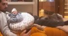 Coeur dee Pirate, devenue maman pour la deuxième fois, a posté cette vidéo prise chez elle, avec son comagnon.