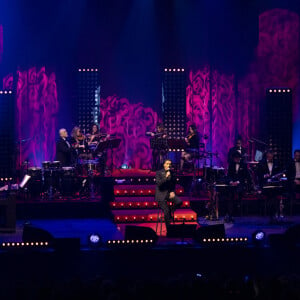 Exclusif - Dany Brillant en concert de la tournée "Dany Brillant chante Aznavour" au Dôme de Paris - Palais des Sports le 4 février 2022. © Cyril Moreau / Bestimage