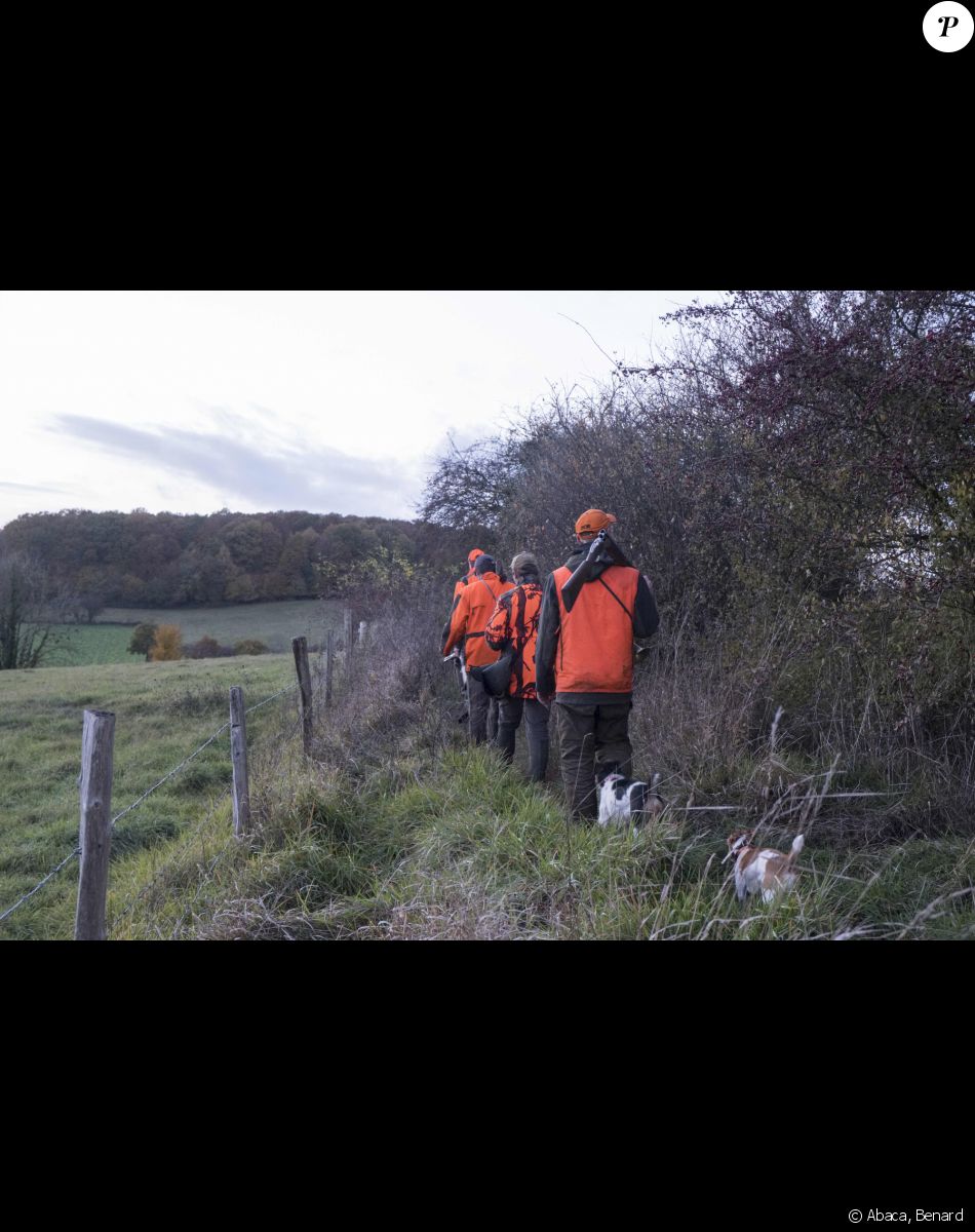 Chasse, chasseurs des chiens sur un chemin de campagne en automne - Photo de Benard/ANDBZ/ABACAPRESS.COM