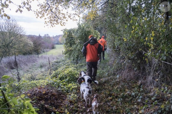 Chasse, chasseurs des chiens sur un chemin de campagne en automne - Photo by Benard/ANDBZ/ABACAPRESS.COM