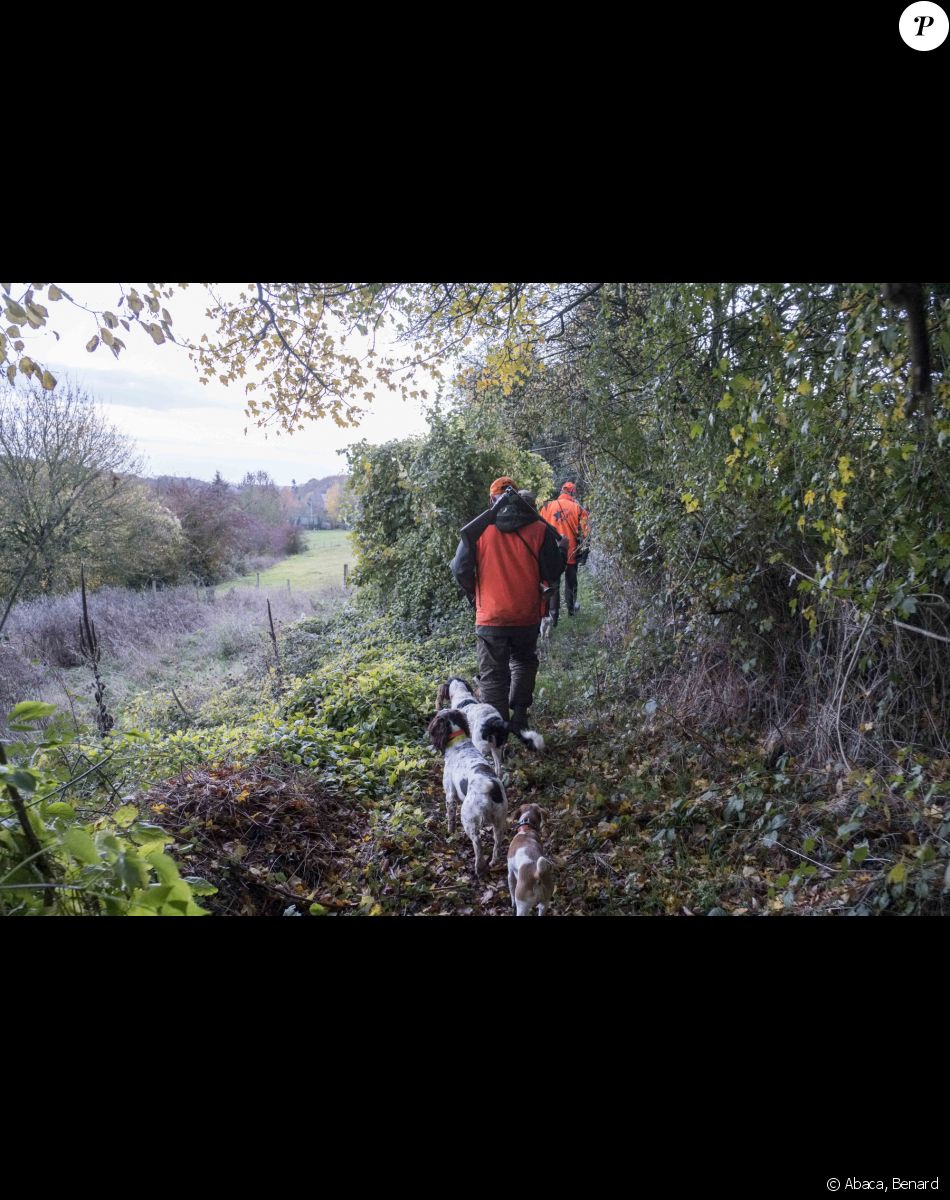 Chasse, chasseurs des chiens sur un chemin de campagne en automne - Photo by Benard/ANDBZ/ABACAPRESS.COM