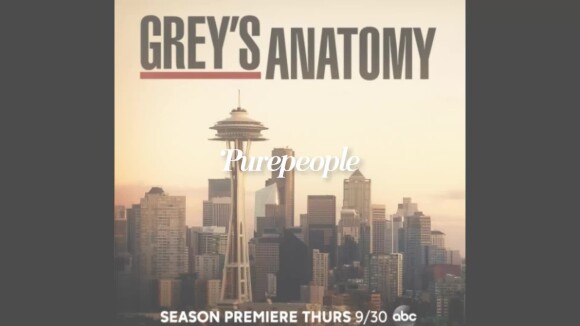 Grey's Anatomy : Surprise, un des personnages principaux quitte la série !