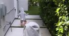 Christina Milian a filmé ses fils Kenna et Isaiah déguisés en lapins pour Pâques. Le 17 avril 2022.