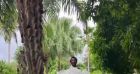 Jérémy Frérot et Laure Manaudou en vacances avec leurs enfants en Guadeloupe.