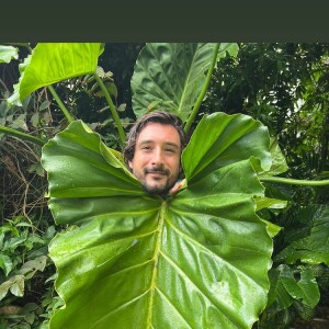 Jérémy Frérot et Laure Manaudou en vacances avec leurs enfants en Guadeloupe.