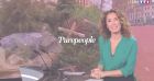 Marie-Sophie Lacarrau reprend le JT de 13 heures de TF1 ! La date de son retour révélée