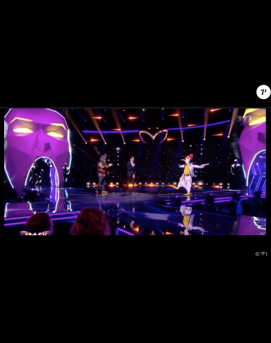 Le Cerf durant la finale de Mask Singer le 13 mai 2022.