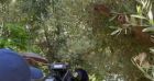 Adriana Karembeu dévoile des images de sa fille Nina