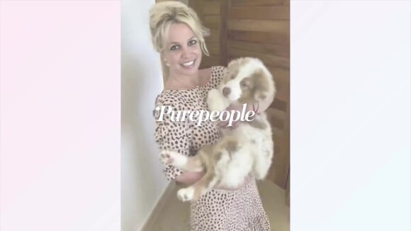 Britney Spears : Sa robe sublime et hors de prix pour son mariage top-secret avec Kevin Federline