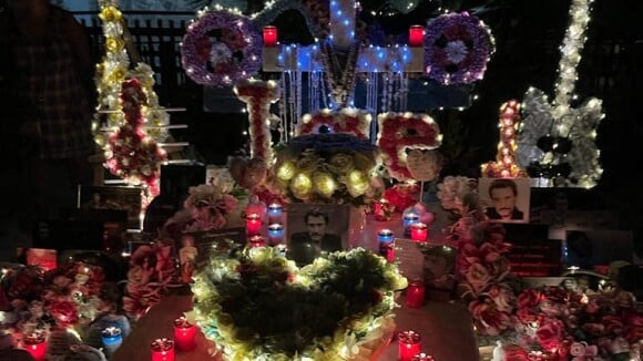 Johnny Hallyday : ses fans célèbrent son 79ème anniversaire, sa tombe magnifiquement décorée