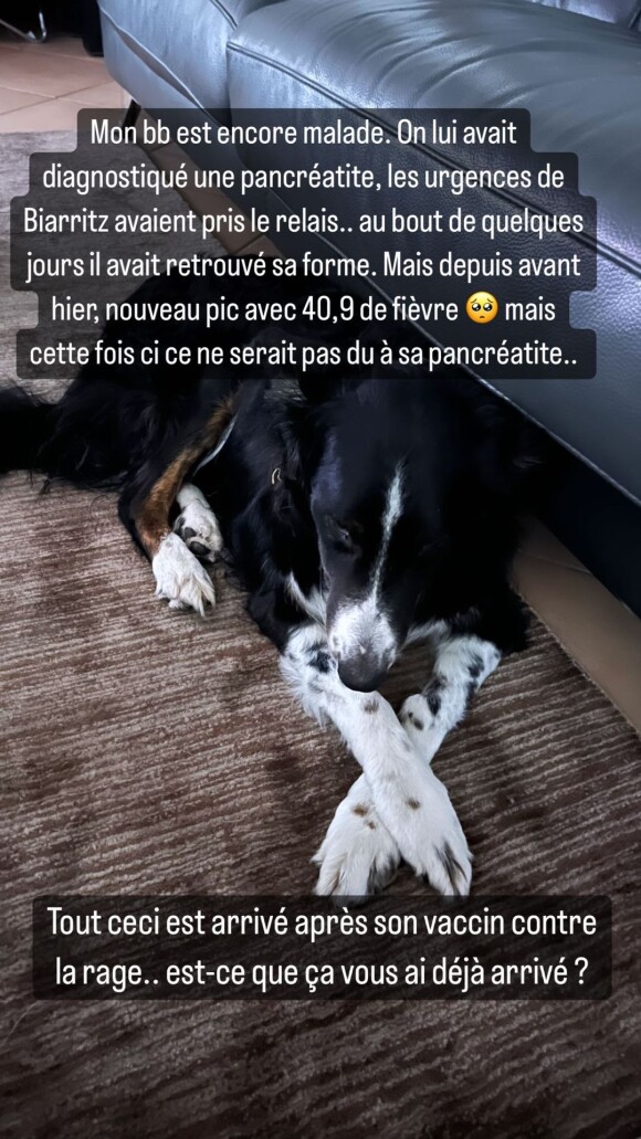 Delphine Tellier inquiète pour son chien