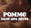 Le titre Dans mes rêves de Pomme (album Consolation)
