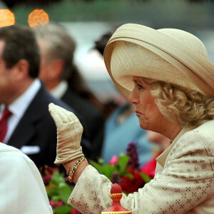La reine Elizabeth II d'Angleterre, Camilla Parler Bowles, duchesse de Cornouailles - Festivités pour le jubilé de diamant de la reine à Londres le 3 juin 2012.