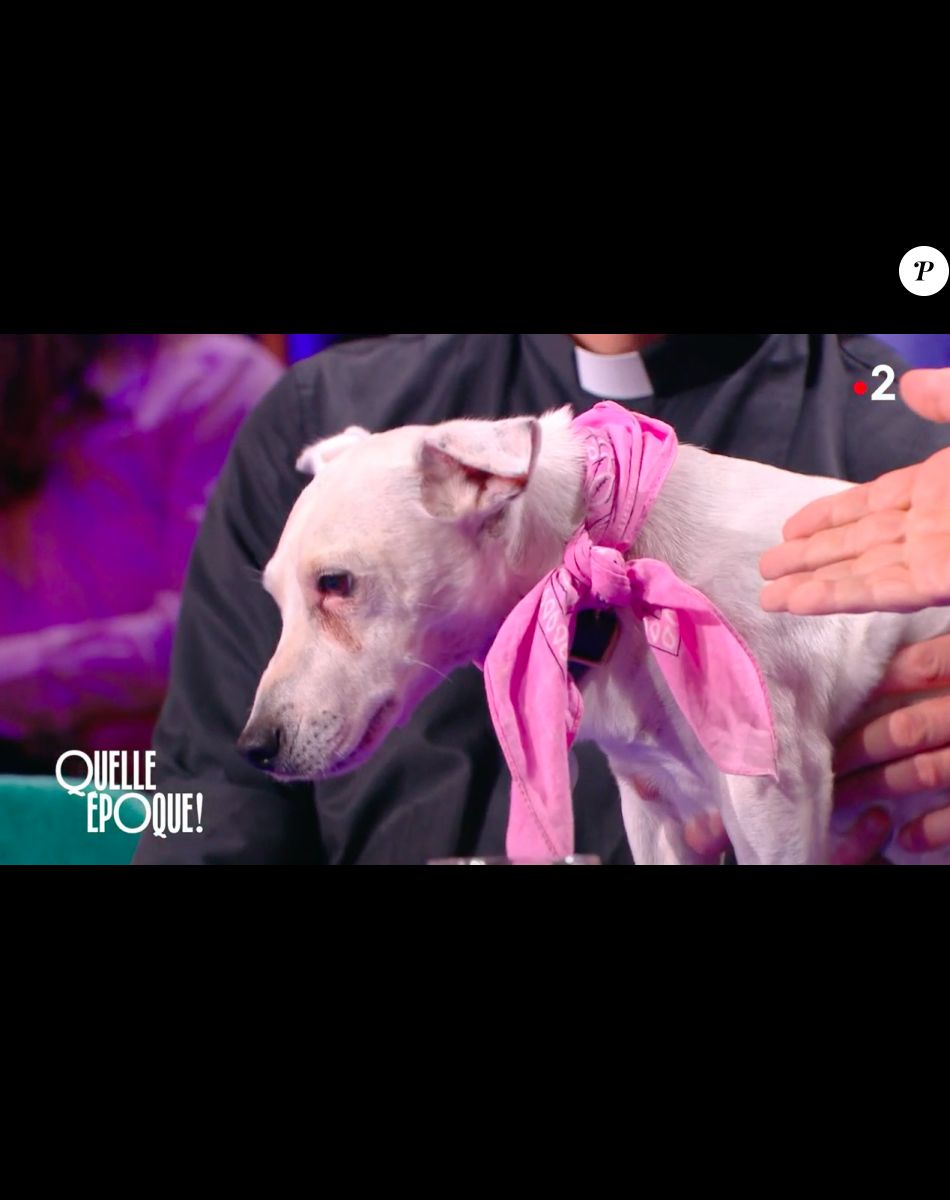 Jean Paul Rouve Jean Luc Mélenchon Pourquoi vous la persécutez ?" : Jean-Paul Rouve pris à partie par Jean-Luc  Mélenchon, malaise en direct - Purepeople