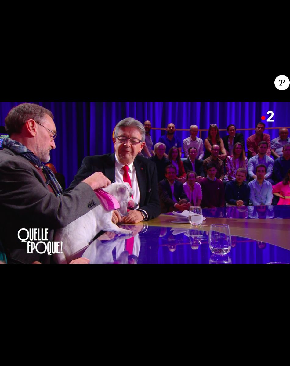 Jean Paul Rouve Jean Luc Mélenchon Pourquoi vous la persécutez ?" : Jean-Paul Rouve pris à partie par Jean-Luc  Mélenchon, malaise en direct - Purepeople