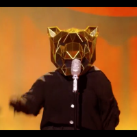 Mask Singer - La Tigresse démasquée : Vitaa a de suite reconnu la star sous ce costume