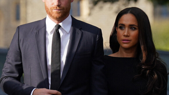 Prince Harry et Meghan Markle, stars d'un gala : l'énorme somme à dépenser pour les rencontrer...