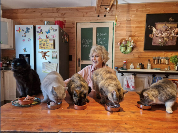 Mylène Demongeot a fêté ses 87 ans le 29 septembre 2022 chez elle à Chatelain entourée de ses 12 chats et de ses amis du Refuge de l'Arche et de ses amies intimes