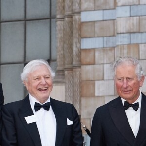 Le prince William, duc de Cambridge, Sir David Attenborough, le prince Charles, prince de Galles, le prince Harry, duc de Sussex, à la première de la série Netflix "Our Planet" au Musée d'Histoires Naturelles à Londres, le 4 avril 2019. 