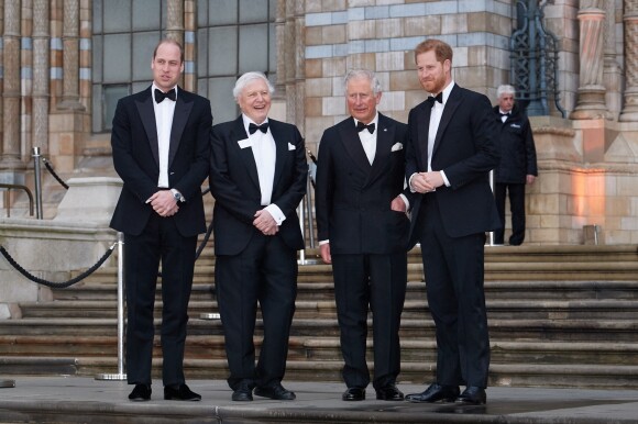 Le prince William, duc de Cambridge, Sir David Attenborough, le prince Charles, prince de Galles, le prince Harry, duc de Sussex, à la première de la série Netflix "Our Planet" au Musée d'Histoires Naturelles à Londres, le 4 avril 2019. 