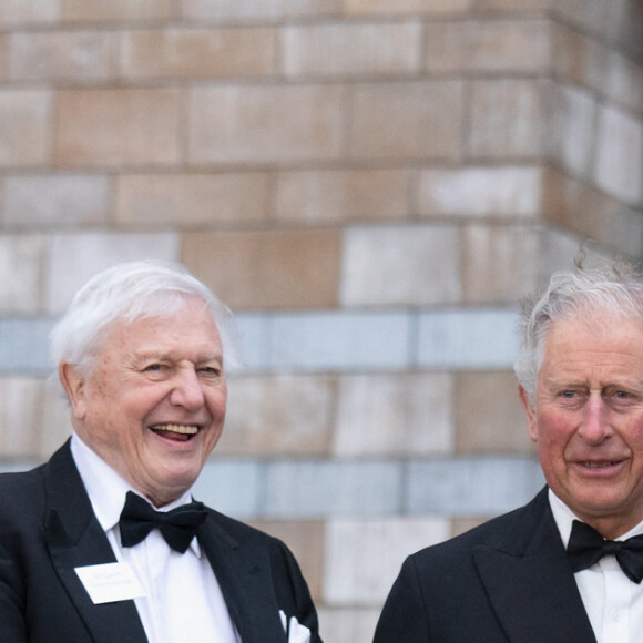 Le prince William, duc de Cambridge, Sir David Attenborough, le prince Charles, prince de Galles, le prince Harry, duc de Sussex lors de la première mondiale de la série Netflix "Our Planet" au Musée d'histoire naturelle de Londres le 4 avril 2019. 