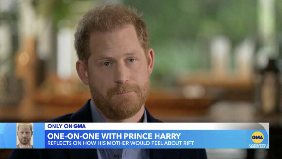 Le prince Harry a déclaré qu'il pensait que sa défunte mère, la princesse Diana, serait triste de voir les conflits avec son frère le prince William. 