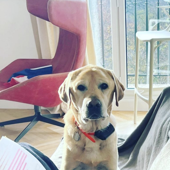 Un nouveau bonheur est arrivé dans leur vie après la triste disparition de leur chien Neuneu.