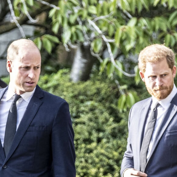 Le prince Harry et son frère, le prince William, se sont éloignés après une dispute entre leurs femmes, Kate Middleton et Meghan Markle. 
Le prince de Galles William, la princesse de Galles Kate Catherine Middleton, le prince Harry, duc de Sussex, Meghan Markle, duchesse de Sussex