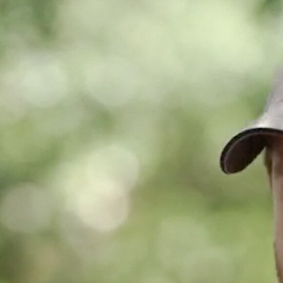 Le prince Harry, duc de Sussex a joué dans un court métrage comique pour promouvoir son nouveau projet d'éco-voyage. Maintenant que ses obligations envers la famille sont terminées, le Prince Harry envisagerait-il une carrière... d'acteur ? C'est ce que laisse penser le petit clip sorti ce lundi 9 mai 2022, dans lequel il joue son propre rôle pour promouvoir la Nouvelle-Zélande. Un pays cher à son coeur et qui nous permet de le voir sous un autre jour. Décidément, Harry n'est vraiment pas un prince comme les autres ! 