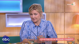Anne-Elisabeth Lemoine confuse après un "un affreux malentendu", ses excuses à un artiste connu