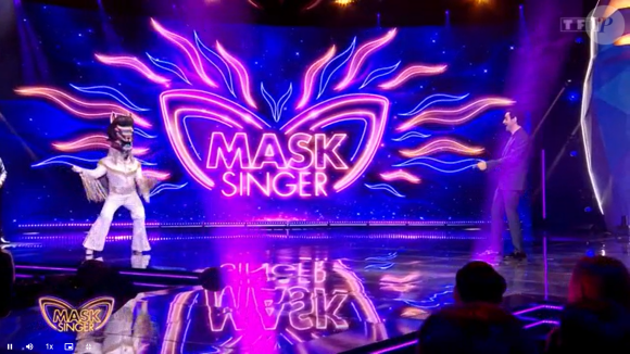 Le lama, "Mask Singer".