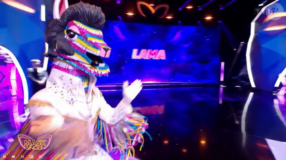 Le lama, "Mask Singer".