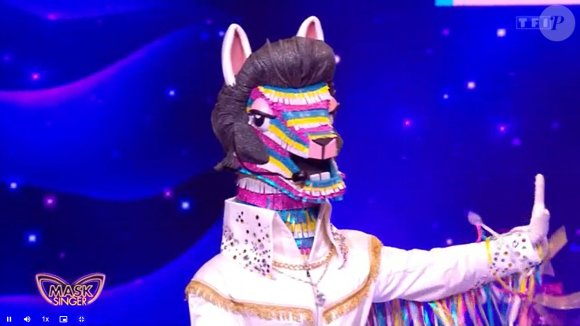 Le lama, "Mask Singer".