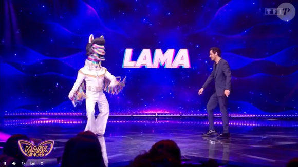 Le lama, "Mask Singer".