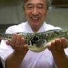 FUGU : Le Fugu est un poisson que les japonais adorent ! Oui mais danger, ses intestins contiennent un poison violent appelé tetrodotoxine, qui est 1 200 fois plus mortel que le cyanure ! Un Fugu a assez de poison en lui pour tuer 30 personnes... 