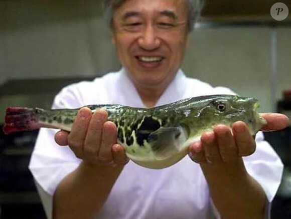 FUGU : Le Fugu est un poisson que les japonais adorent ! Oui mais danger, ses intestins contiennent un poison violent appelé tetrodotoxine, qui est 1 200 fois plus mortel que le cyanure ! Un Fugu a assez de poison en lui pour tuer 30 personnes... 