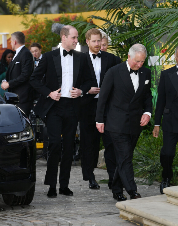 Le prince William, duc de Cambridge, le prince Harry, duc de Sussex, le prince Charles, prince de Galles lors de la première mondiale de la série Netflix "Our Planet" au Musée d'histoire naturelle de Londres le 4 avril 2019. 